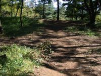 신푸성(新府城) 본마루(本丸) 터