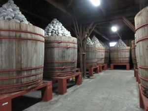 오카자키의 항아리에서 발효 중인 하지초 미소(Hatchō Miso)