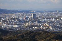 무라즈미산(村積山) 전망대에서 본 오카자키 시가지