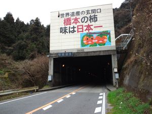 국도 371호선 기미 터널의 오사카부 측. 하시모토시는 감 생산도 활발하다.