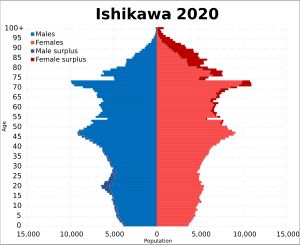 이시카와현의 인구 피라미드(2020년)