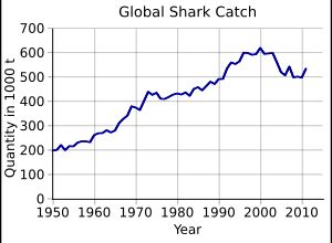 1950년부터 상어 어획량 그래프, 1950년 연간 20만 톤 미만에서 2011년 약 50만 톤으로 선형 증가