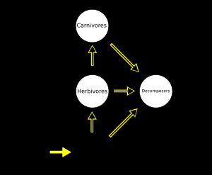 생산자, 초식동물, 육식동물, 분해자를 포함하는 간단한 먹이 그물