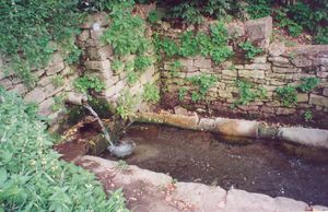 우크라이나, 지히우카에서 흔히 볼 수 있는 식수원인 시포트