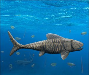 Amazichthys, 보존된 연조직을 가진 해양 판피어