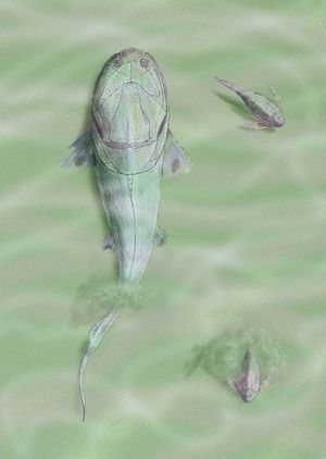 Homostius 및 Pterichthys