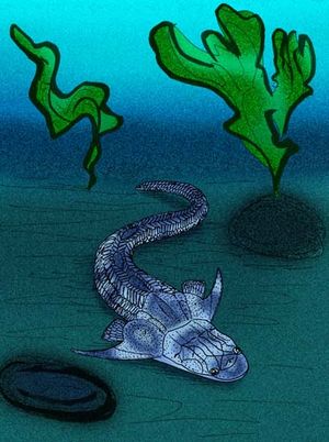 Diandongpetalichthys