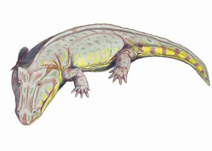 기반군 에도포이드인 에돕스