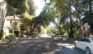 교통 완화 장벽으로 인해 두 개의 막다른 길로 막힌 거리. 중간의 틈으로 자전거와 응급 차량이 통과할 수 있다.