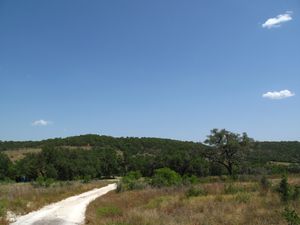 텍사스 힐 컨트리