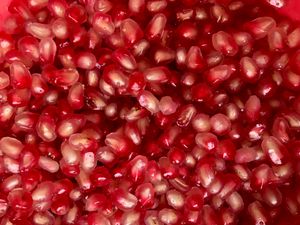 석류씨는 날것으로 먹을 수 있다