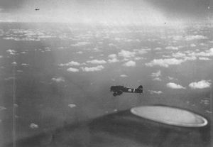 5월 7일, 일본 항공모함 급강하 폭격기들이 미군 항공모함의 추정 위치를 향하고 있습니다.