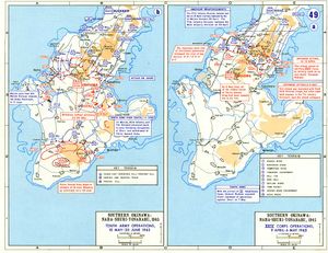 오키나와 남부에서의 미군 작전