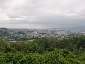 우지 시내 전경. 표주박원(2020년)