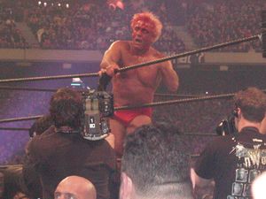 2002년 레슬매니아 X8에서 피투성이가 된 플레어