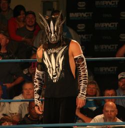 2014년 4월 윌로우로 활동하는 하디