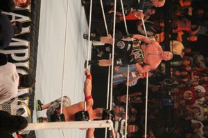 2014년 9월 나이트 오브 챔피언스에서 존 시나와 WWE 월드 헤비웨이트 챔피언십을 든 레즈너