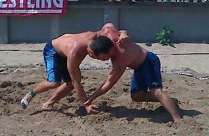 2010 미국 레슬링협회 비치 레슬링 세계팀 예선