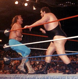 앙드레 더 자이언트(André the Giant)는 뱀을 두려워하는 앙드레를 바탕으로 로버츠와 대립을 겪었다(1989년 3월 7일 사진).