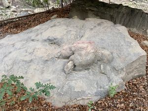 뉴멕시코주에서 발견된 것으로 추정되는 발자국