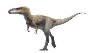 A. remotus의 생물 복원