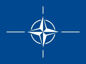 NATO 기