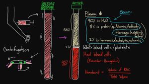 녹화된 강의 중 해설자가 전자 칠판에 글을 쓰고 있다.