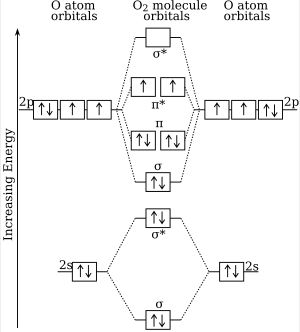 각 산소 원자의 참여 원자 궤도함수, 그들의 중첩으로부터 생성되는 분자 궤도함수, 그리고 가장 낮은 에너지 궤도함수부터 시작하여 각 O 원자에서 6개씩 총 12개의 전자를 채우는 오프바우 채움을 보여주는 궤도 다이어그램