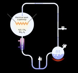 밀러-유리 실험