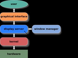 X.Org 서버와 같은 디스플레이 서버는 윈도우 시스템을 구현하고 클라이언트에 서비스를 제공한다.