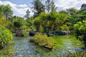 브라질 리우 켄테의 온천