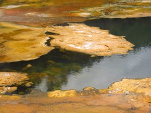 뉴질랜드 오라케이 코라코의 "아프리카 지도" 온천에서 자라는 조류 매트