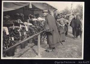 일본의 국화 시장, 다이쇼 시대(1914년, 엘스트너 힐튼 촬영)