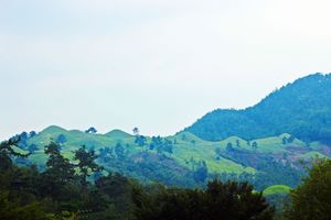 대가야의 지배계급의 무덤인 고령 지산동 고분군