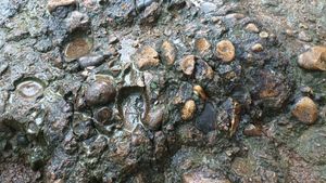 상주 경천대에 드러난 경상 누층군 신동층군 낙동층의 역암