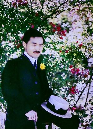 오토크롬 뤼미에르 기법을 사용한 노구치 히데요 사진