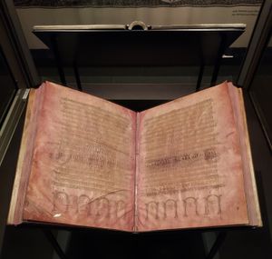 웁살라 대학교 도서관에 전시된 코덱스 아르겐테우스