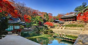 연잎으로 뒤덮인 연못 위의 작은 다채로운 목조 정자