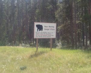 캐나다 알버타의 곰 출몰 경고 표지판