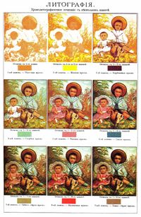 9가지 잉크를 사용한 컬러 리소그래프. 러시아 백과사전 브로크하우스·에프론 백과사전(1890~1907)의 개요도