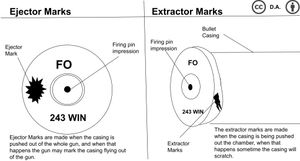 이것은 탄피의 추출기/배출기 자국에 대한 예시와 설명이다.