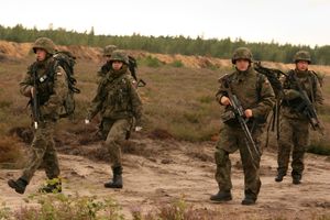 폴란드군과 같은 군대는 갈등을 처리하는 기관의 한 예이다.