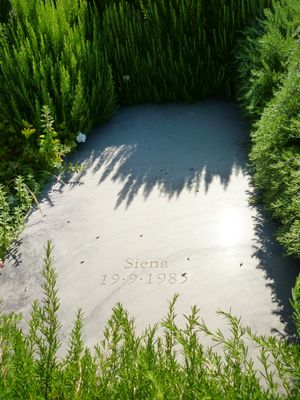 카스티글리오네 델라 페스카이아에 있는 칼비노의 묘