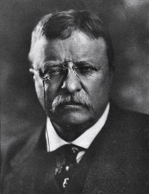 루스벨트 (약 1914~1918년)