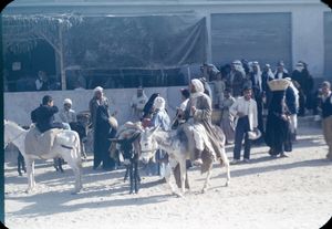 1956년 가자시 사람들