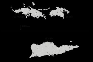 미국령 버진 아일랜드의 구획 및 하위 구획