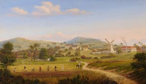 세인트 크로이섬에 있는 메리 판시(Mary's Fancy) 농장. 조지 라이언(George Ryan)이 소유