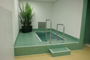 냉각용 작은 수영장; 보통 차가운 물로 채워져 있음