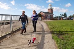 개와 산책하는 여성