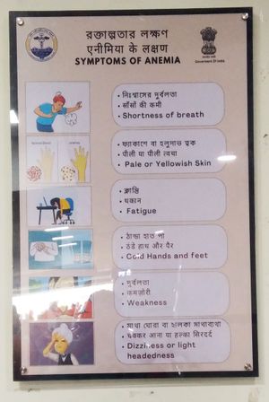 칼리아니 AIIMS 서벵골주 게시판에 벵골어, 힌디어, 영어로 적힌 빈혈 증상